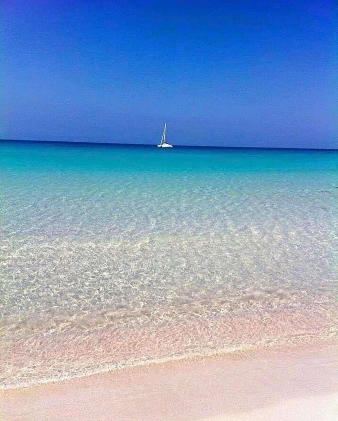 La Mimosa Case Vacanze Марсала Екстериор снимка